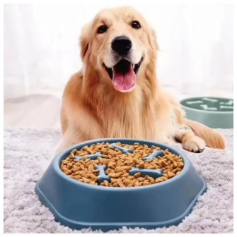 Comedero Lento para Perros, Antiansiedad